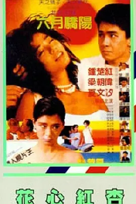 欧美极品少妇xxxx亚洲精品